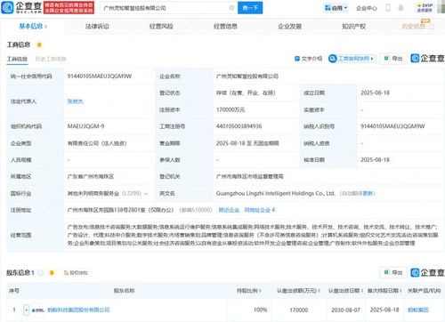 螞蟻集團(tuán)成立靈知智慧控股公司，注冊(cè)資本17億進(jìn)軍科技中介服務(wù)